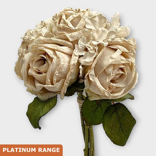 Artificial Faux Dried Valera Rose Posy (Oyster)