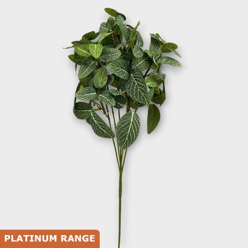 Artificial Faux Fittonia Spray