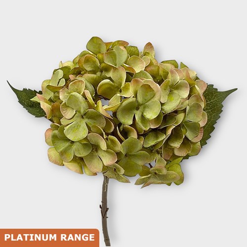 Artificial Faux Hydrangea Autumn Green