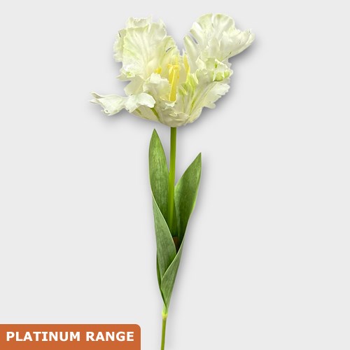 Artificial Faux Parrot Tulip (Cream)