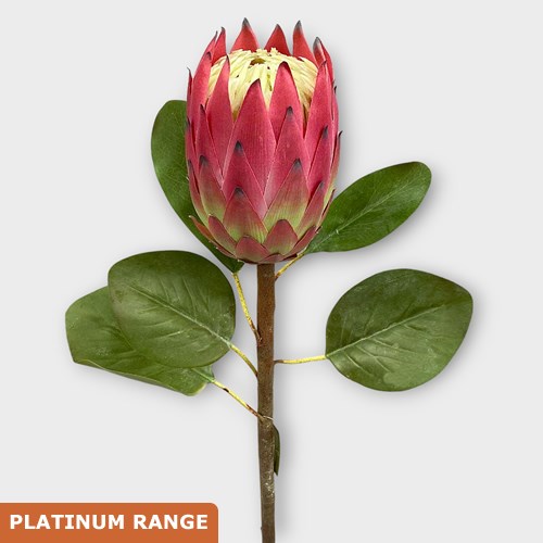 Artificial Faux Protea (Pink)