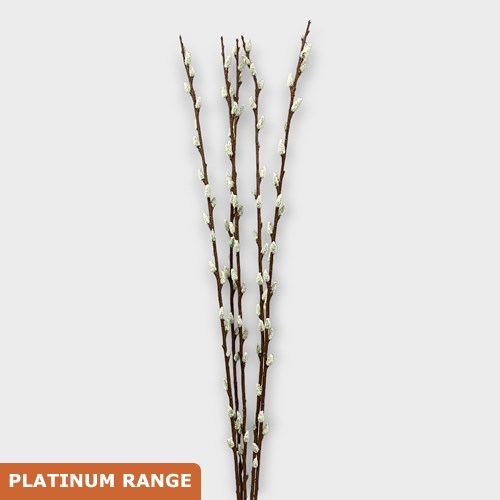 Artificial Faux Pussy Willow