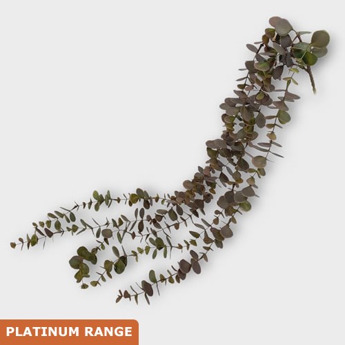 Artificial Faux Eucalyptus Trailing Vine