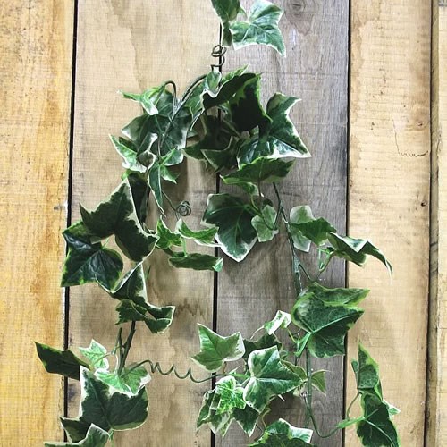 Artificial Faux Ivy Garland (Holland)