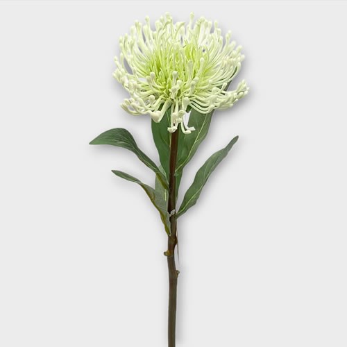 Artificial Faux Banksia Pincushion