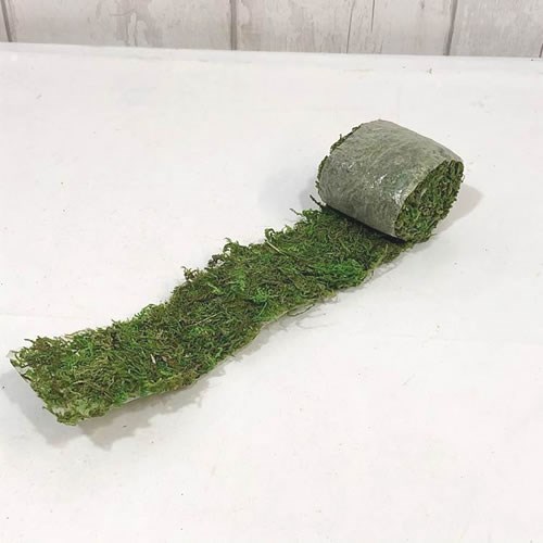 Asia Preserved Moss Ribbon