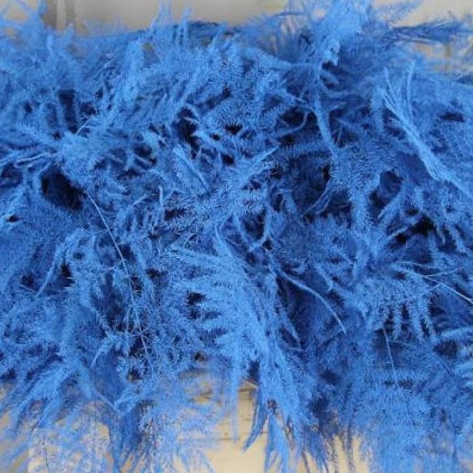 Asparagus Fern Dyed Blue