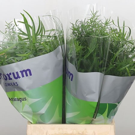 Asparagus Mix