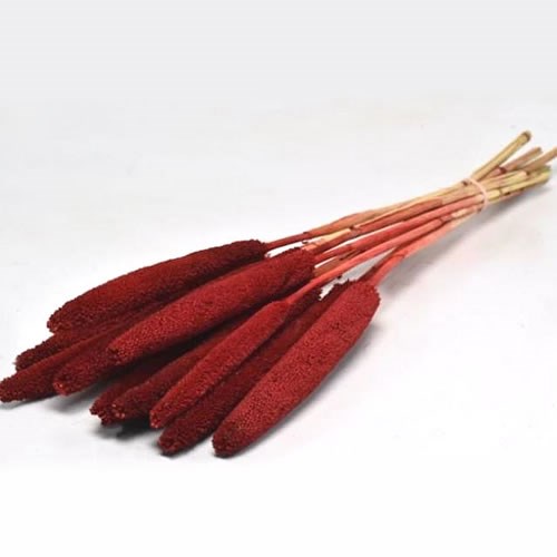 BABALA DYED RED (DRIED)
