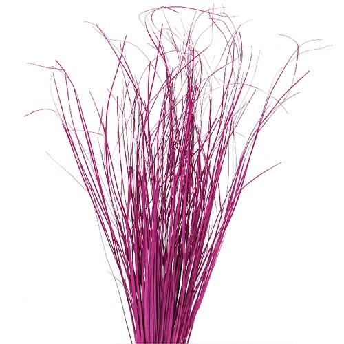 BEARGRASS DYED CERISE