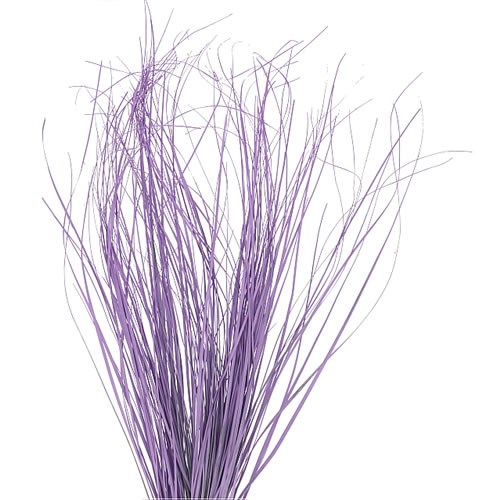 BEARGRASS DYED LILAC