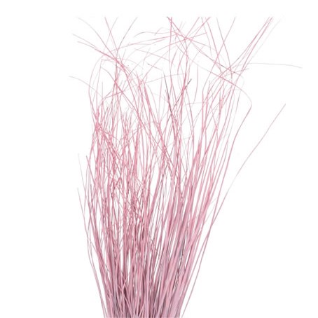 BEARGRASS DYED PINK