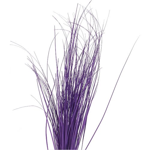 BEARGRASS DYED PURPLE