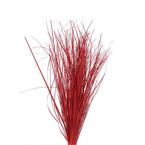 BEARGRASS DYED RED