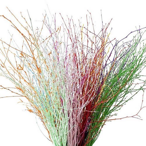 BETULA DYED MIX (COLS MAY VARY)