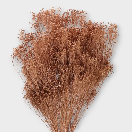 BROOM DYED COPPER (DRIED)