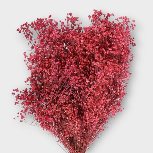 BROOMS DYED PINK (DRIED)