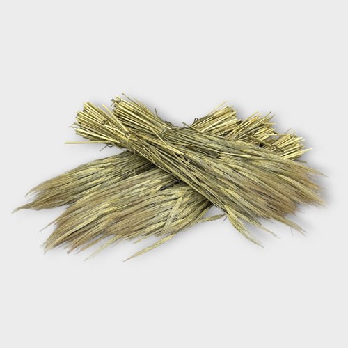 Barley (Dried - 5 Bunch Multi-Pack)
