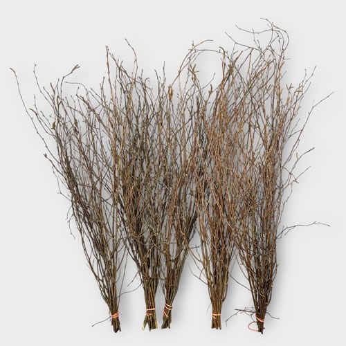 Birch Twigs Natural Dried (5 bunches)