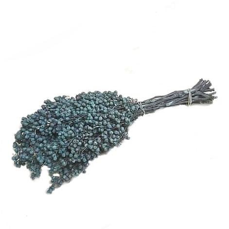 Pepper Berries Dyed Blue (Schinus Molle )