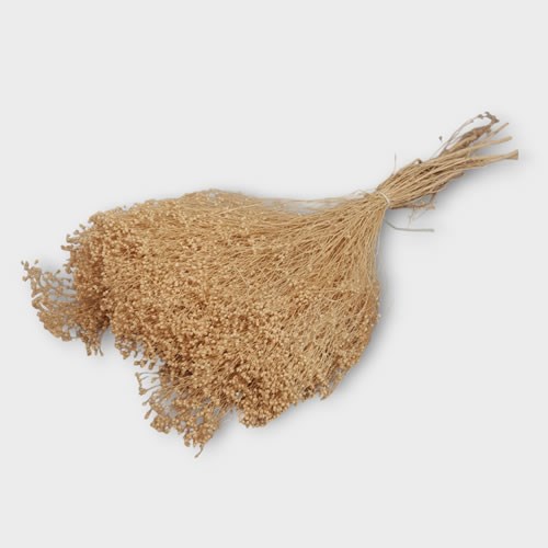 Broom - Bleached & Dried