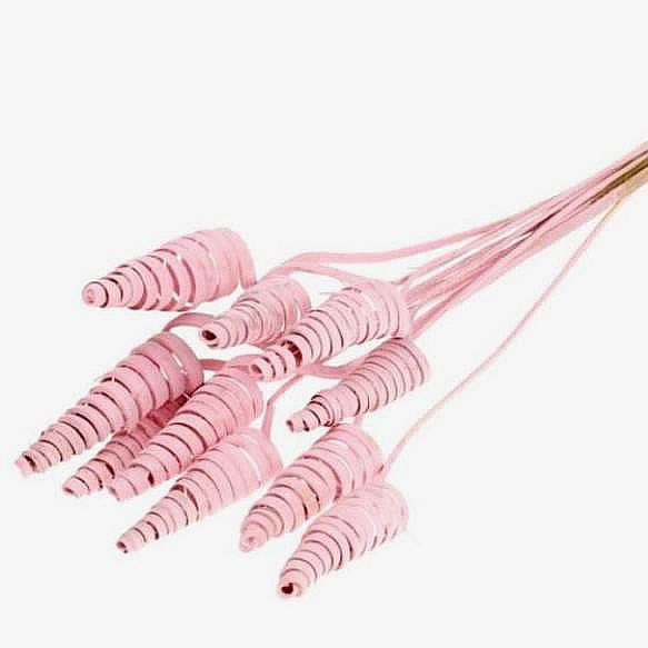 CANE CONES - LIGHT PINK