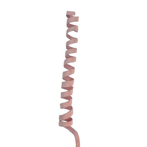 CANE SPRINGS LIGHT PINK (dried)