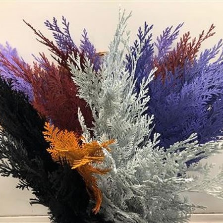 CHAMAECYPARIS DYED MIX