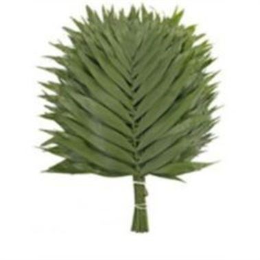 CHICO PALM SMALL (APPROX. 50 STEMS)