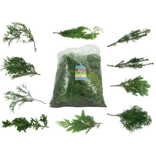 CONIFER MIXED BAG (10 VARIETIES)