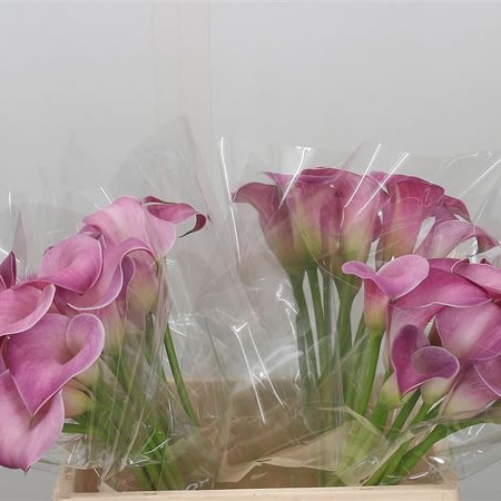 Calla Lily Candy Art