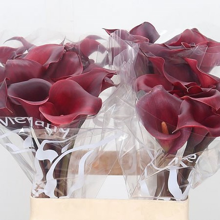 Calla Lily Red Charm