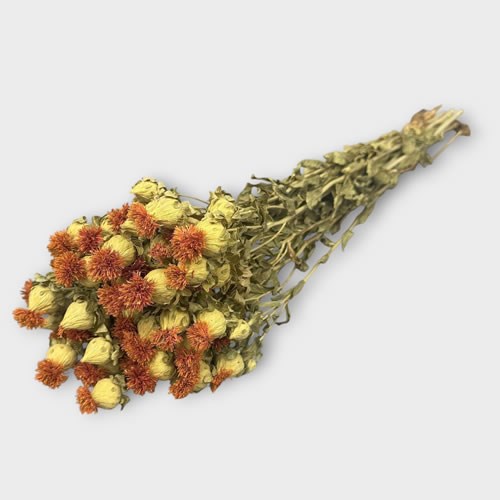Carthamus Orange (Dried)
