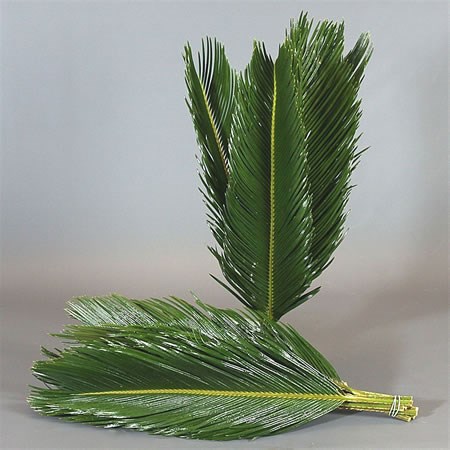 planters for hanging plants Natural Branch Hanging Planter