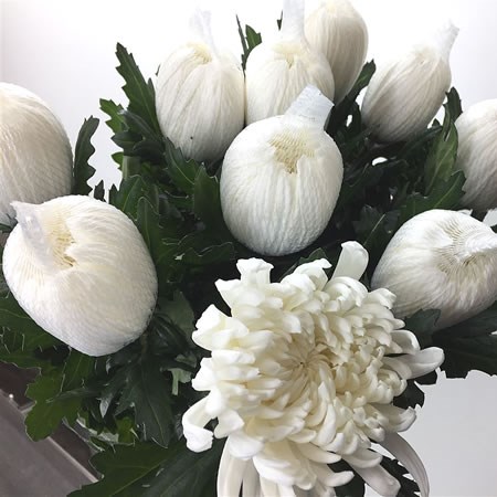 Chrysant Sgl. Gagarin