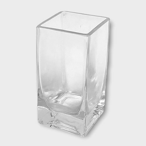 Glass Tank Vase - 10 x 5 x 5cm