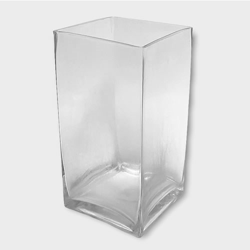 Glass Tank Vase - 20 x 10 x 10cm
