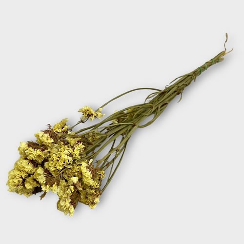 Clearance Item - Statice Yellow Dried