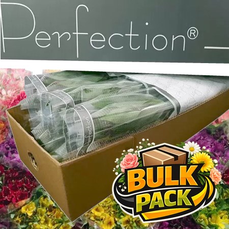 Colombian Alstroemeria Perfection Mix (150 stem Bulk Pack)