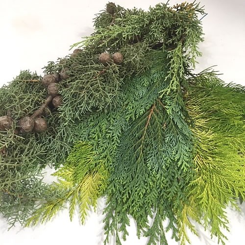 Conifer Mixed - 1 Kg Bag