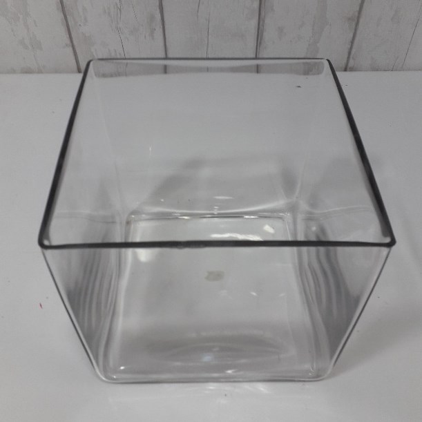 Glass Cube Vase - 25cm- Damage to rim *Only two available*