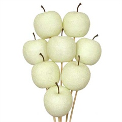 White Sugared Apple Picks 5cm wide