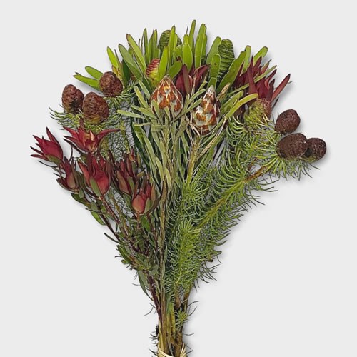 Decorative Xmas Component Bunch