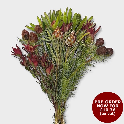 Decorative Xmas Component Bunch (Call Office to Pre-Order)