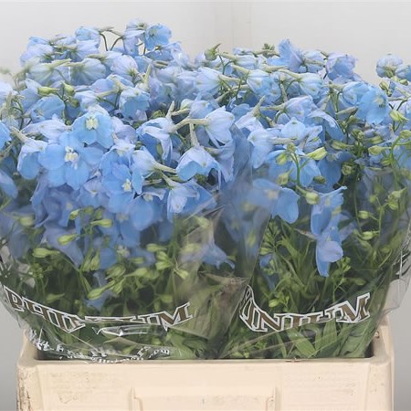 Delphinium Ballkleid