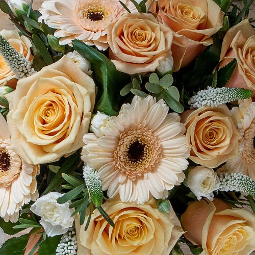 Deluxe Florist Bouquet Boxes (Peach)