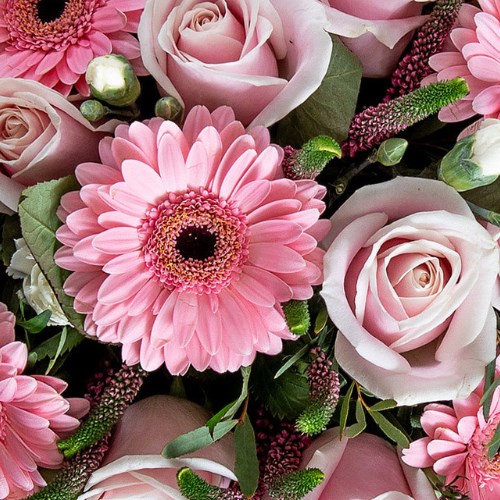 Deluxe Florist Bouquet Boxes (Pink)