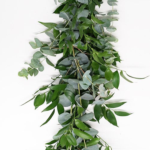 Garlands - Soft Ruscus & Eucalyptus Cinerea (double)