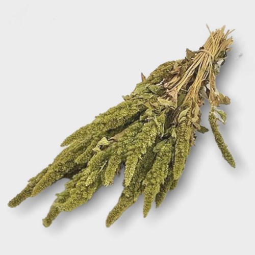 Amaranthus Green (Dried)