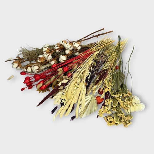 Clearance Item - Large Dried Assortment - Ex-Demo